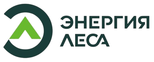Энергия леса